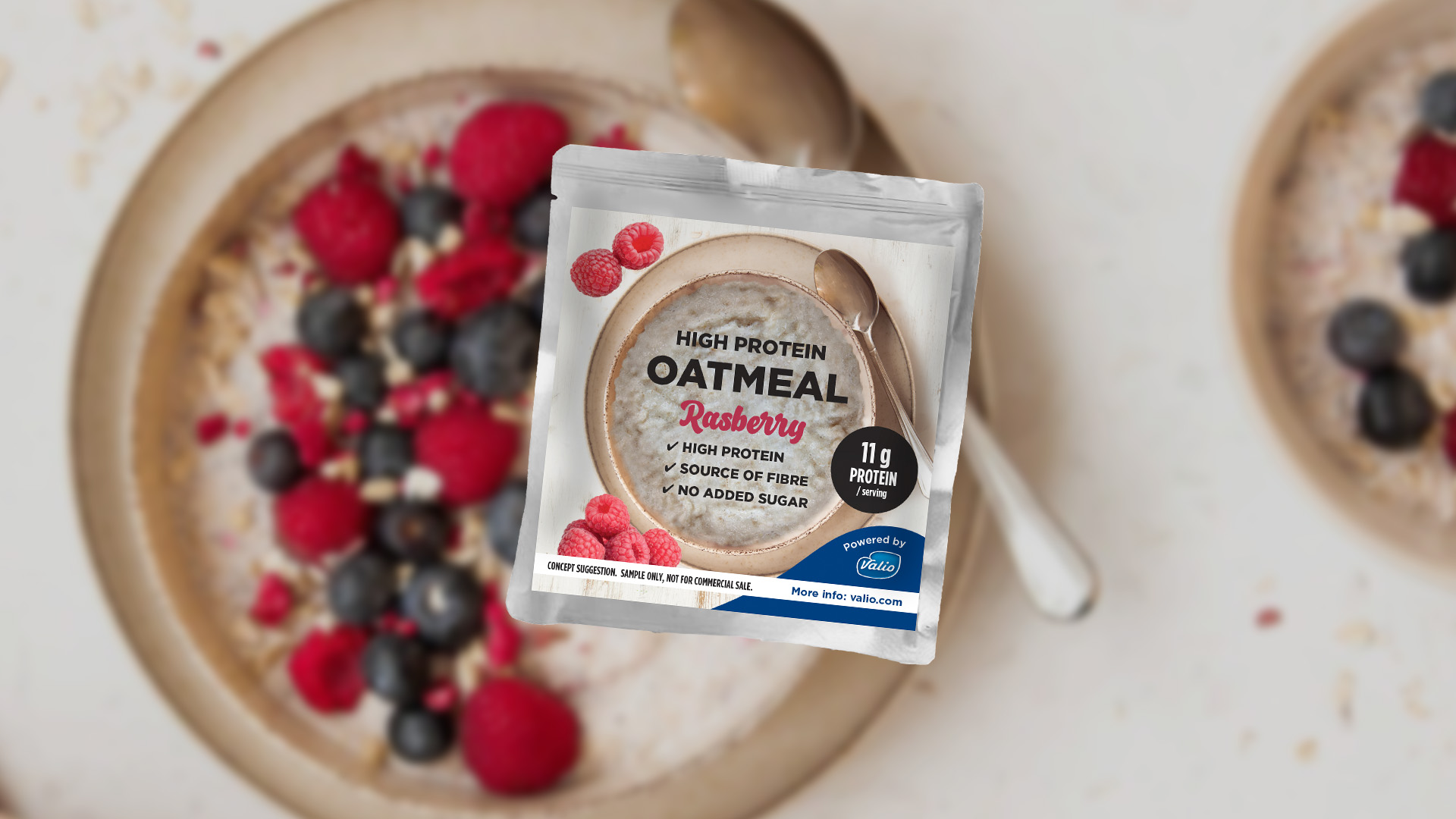High-protein oatmeal sample.