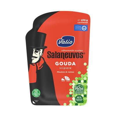 Valio Salaneuvos® e270 g viipale ValSa®