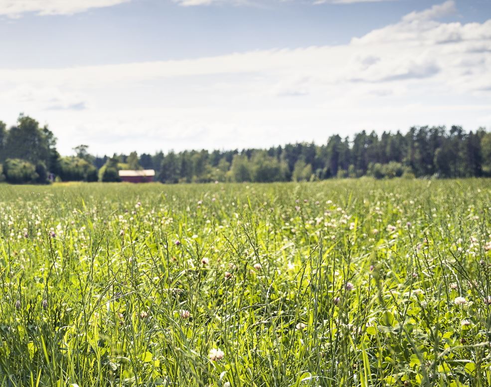 Carbon footprint calculation becoming more accurate – soil emissions will now be included