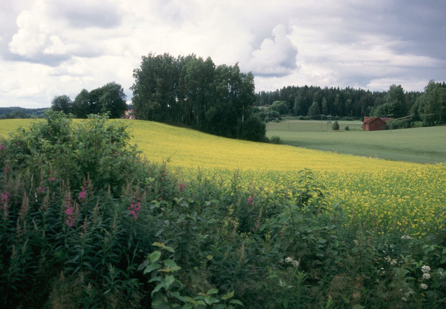 Erityistilanne rohkeasti käyttöön