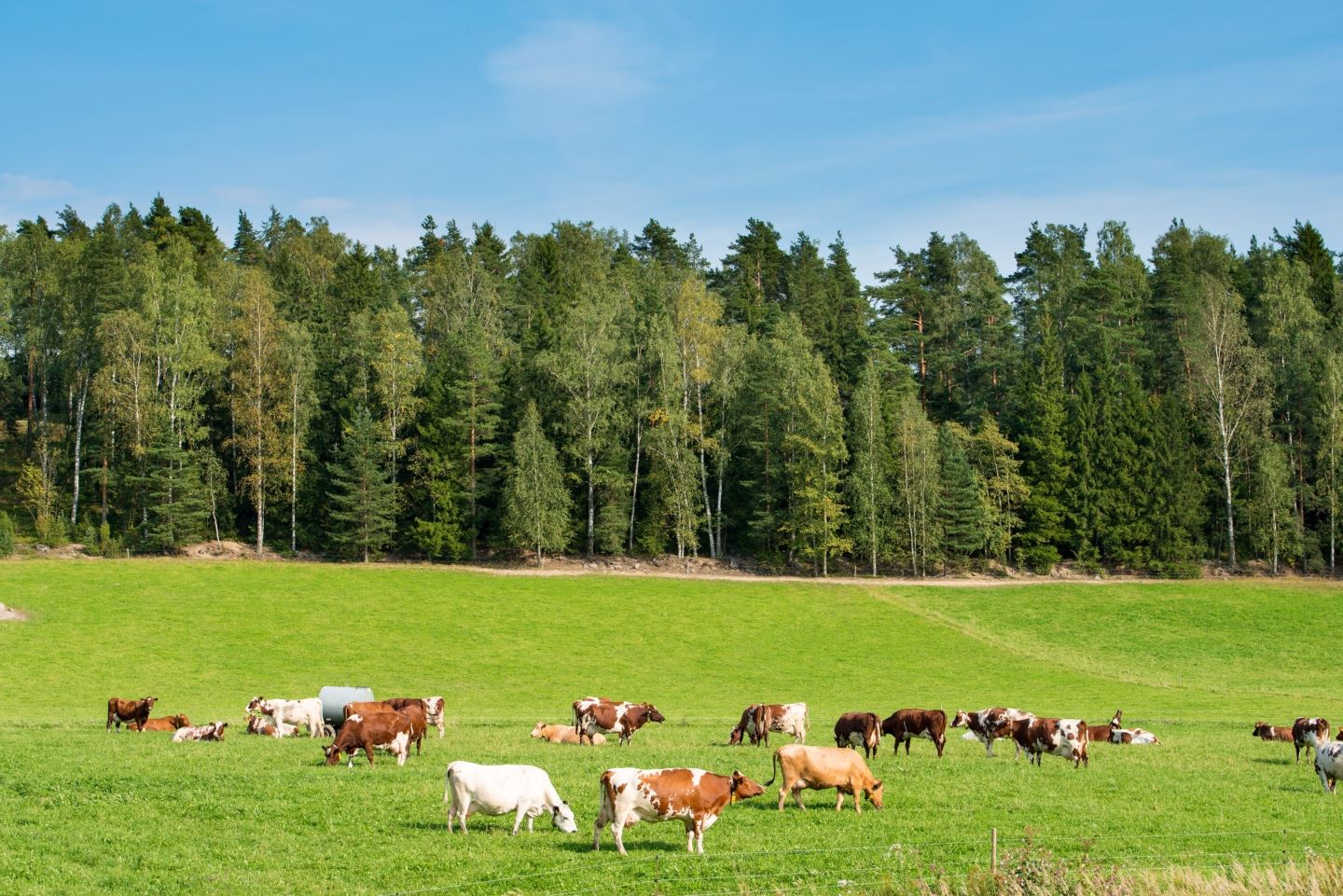 Dobrostan zwierząt