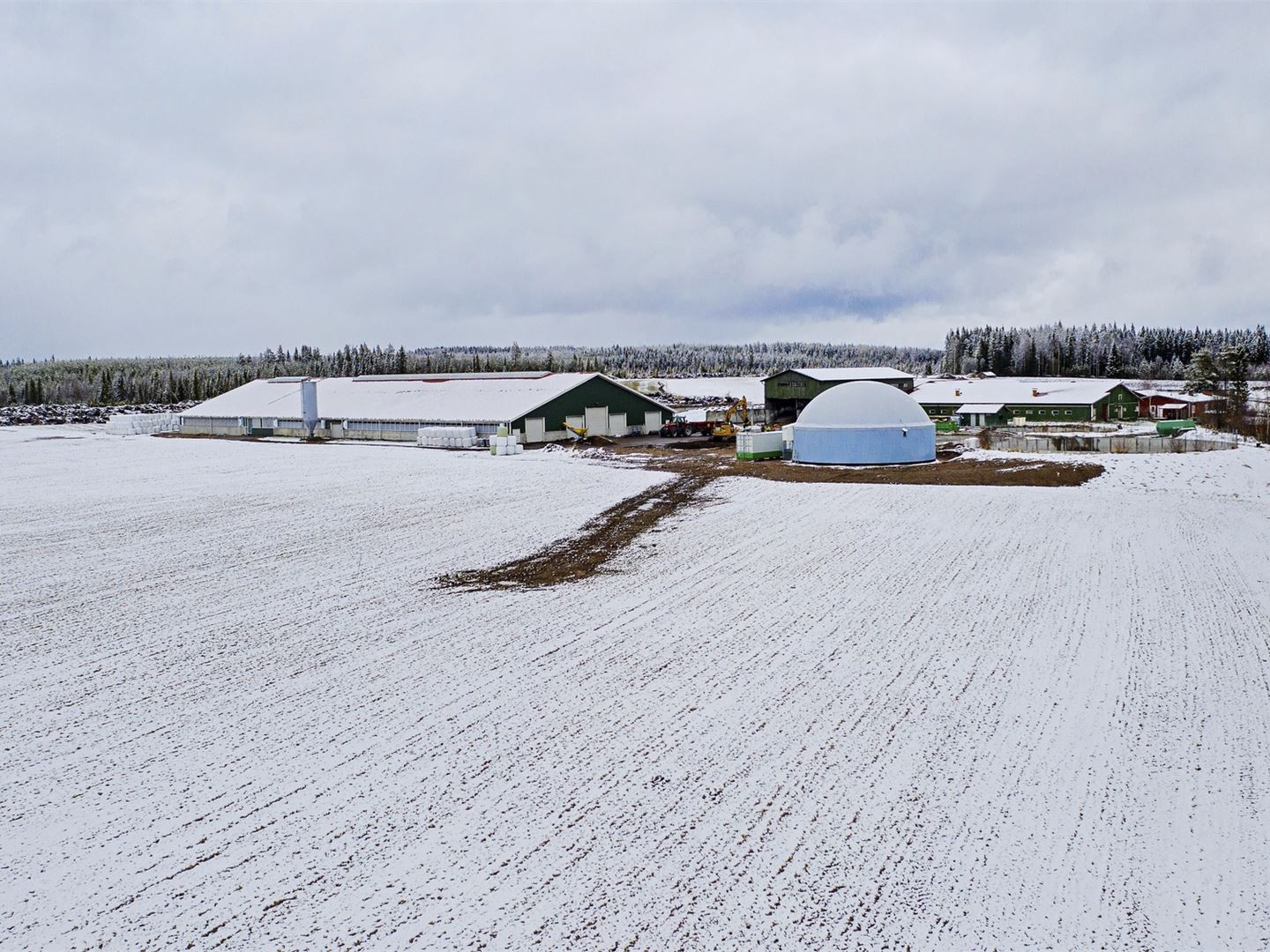 Kuinka biokaasun tuotannon saisi kasvuun?