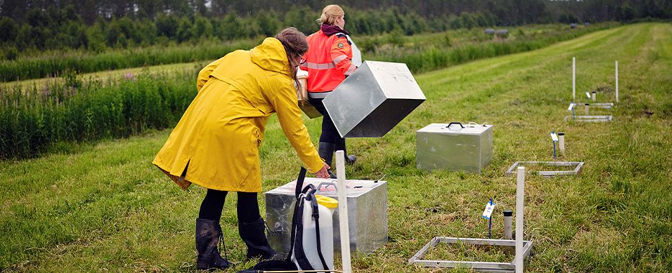 Turvepeltojen kestävät viljelytavat löytyvät yhteistyöllä