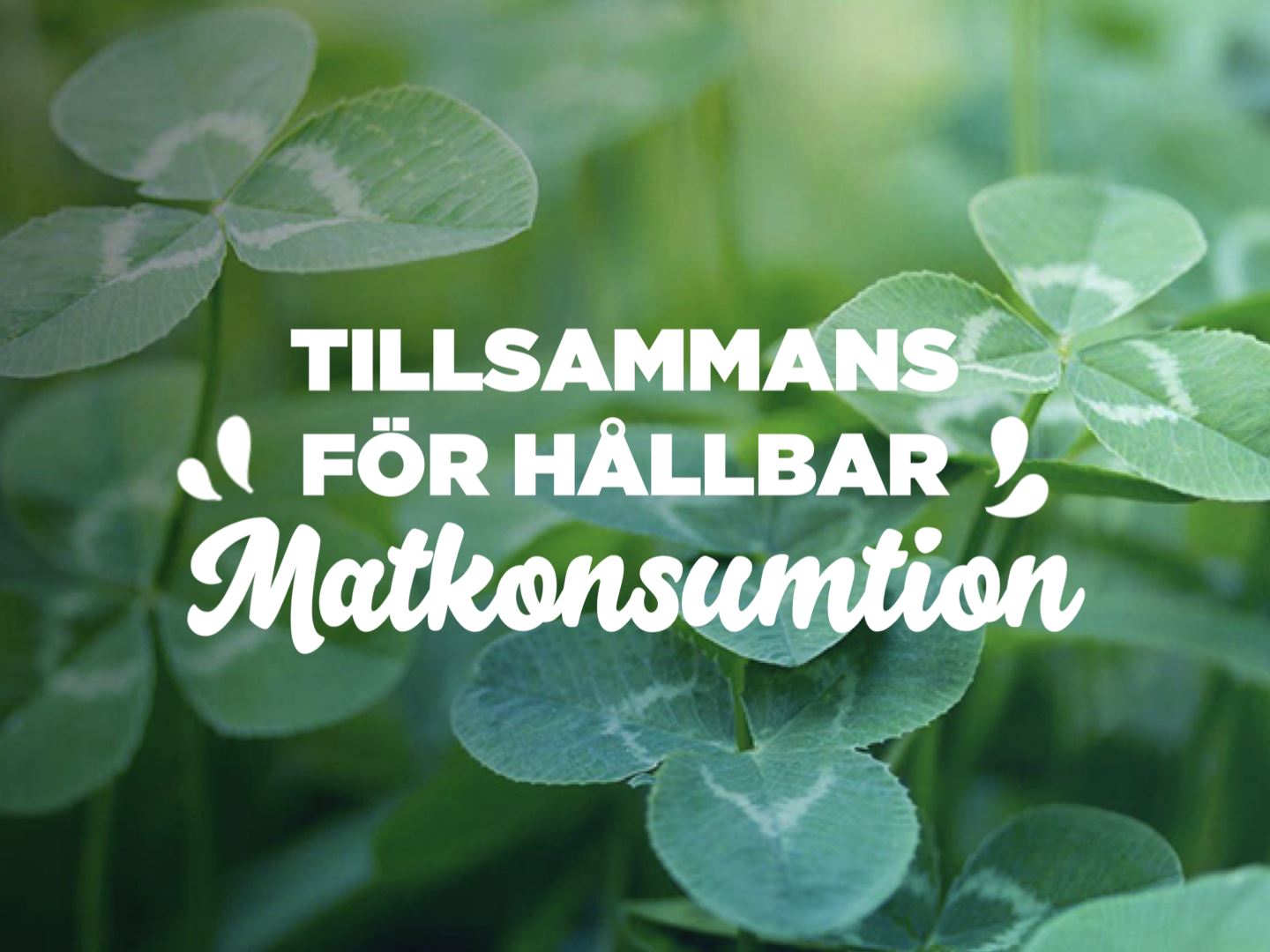 Hållbarhetsseminarium 2022